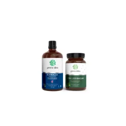 Téli gondoskodás – echinacea és béta-glükán