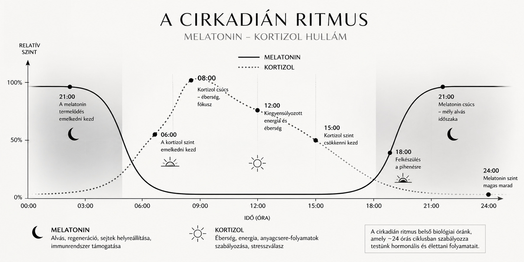 Cirkadián ritmus ábrázolása – melatonin és kortizol váltakozása